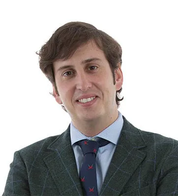 Dr. Luis Fernández Vega-Cueto